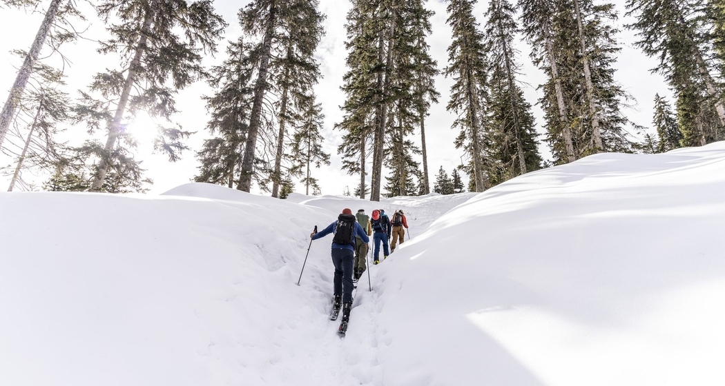 Skitouren für Anfänger*innen und Fortgeschrittene (gdl_833519810_image)