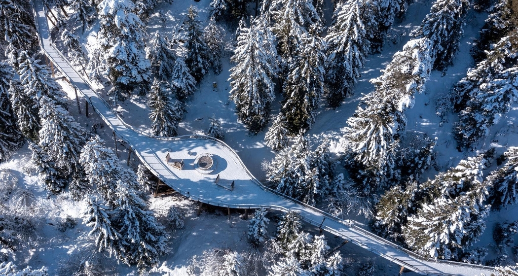 Apéro Fondueplausch (gdl_837389777_image)