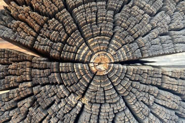 Meditation im Advent (gdl_838924429_image)