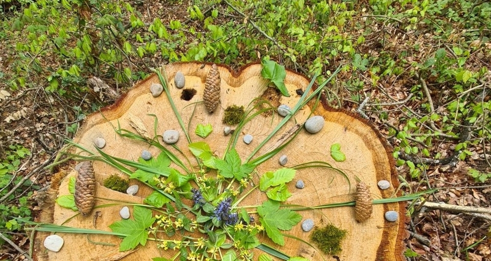 Shinrin Yoku / Waldbaden im Park Sihlfeld (gdl_839776074_image)