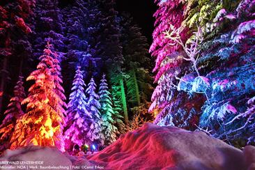 Zauberwald Lenzerheide (gdl_839981415_image)