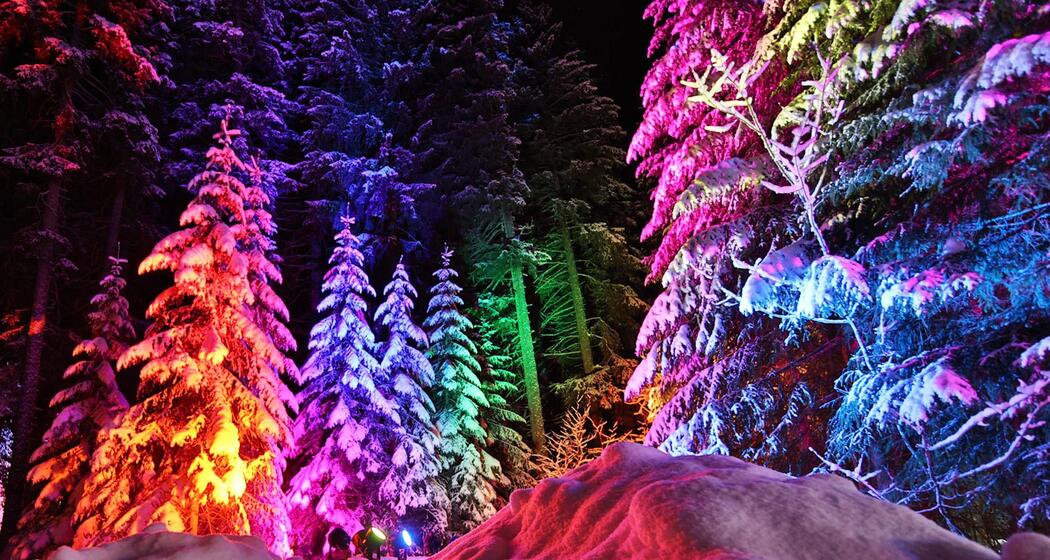 Zauberwald Lenzerheide (gdl_839981415_image)