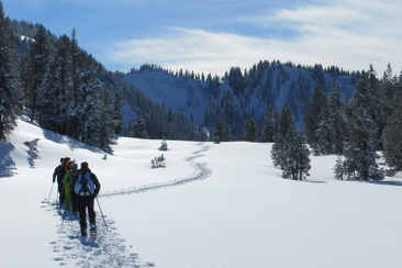 Geführte Schneeschuhtour in Lumnezia (gdl_840064981_image)