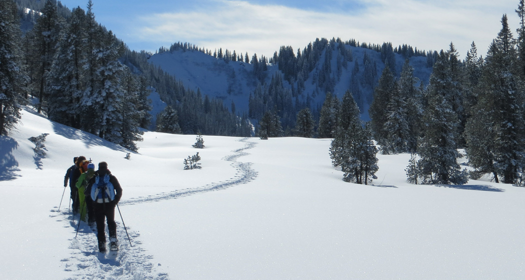 Geführte Schneeschuhtour in Lumnezia (gdl_840064981_image)