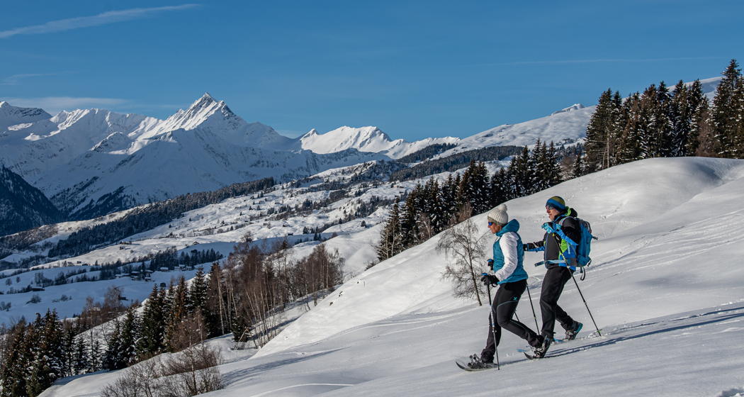 Geführte Schneeschuhtour in Lumnezia (gdl_840064983_image)