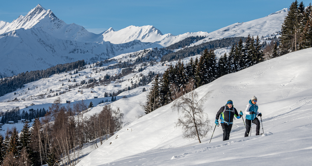 Geführte Schneeschuhtour in Lumnezia (gdl_840064984_image)