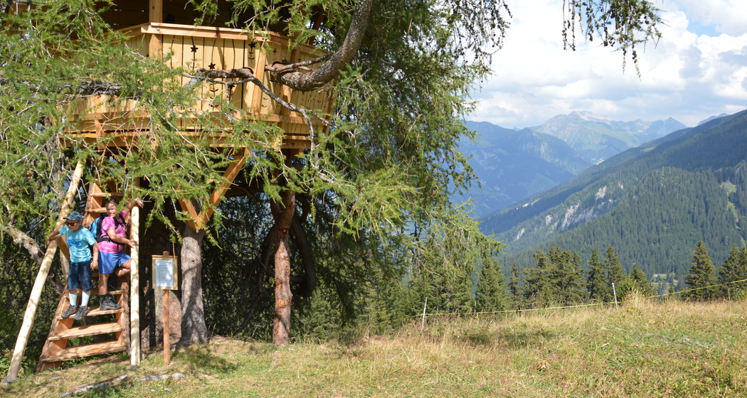 Erlebnisferien mit Kindern in Tschiertschen (gdl_840113460_image)