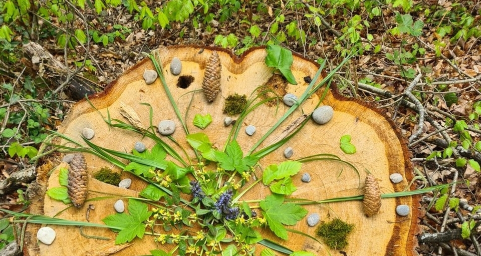 Waldbaden bei Scuol im Unterengadin (gdl_840667104_image)