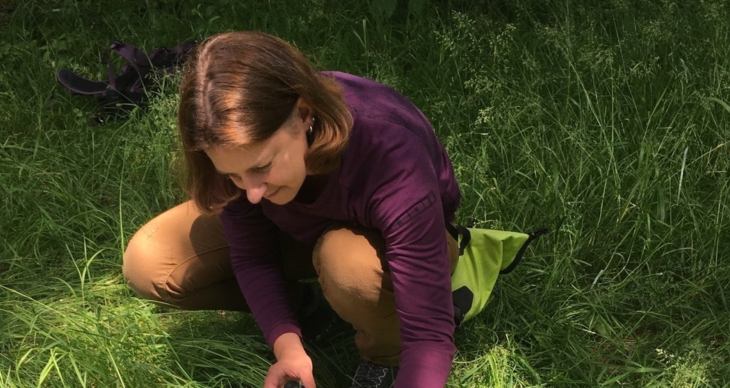 Waldbaden bei Scuol im Unterengadin (gdl_840667105_image)