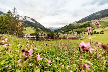 RhB Osterfahrt (gdl_840910334_image)