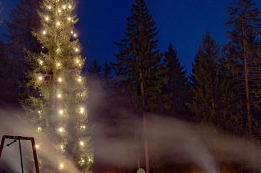 Waldweihnachten beim Kinderspielplatz Flims Waldhaus (gdl_843628920_image)