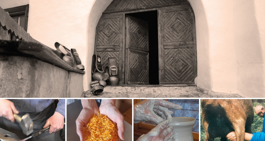 Portas avertas / Tag der offenen Türen (gdl_843927962_image)