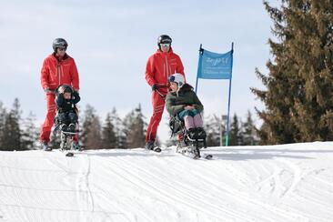 5. Wintersportfestival (gdl_845095485_image)