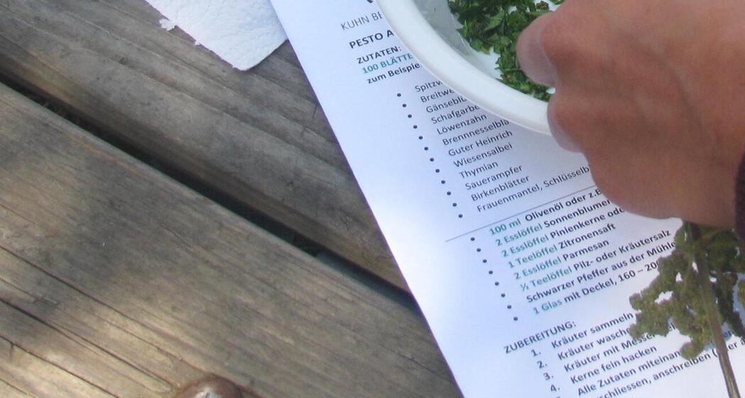 Wildkräuter kennen lernen und Pesto herstellen mit Rosemarie Kuhn (gdl_849417261_image)