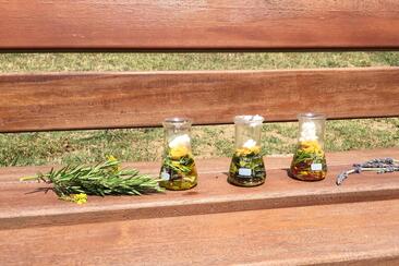 Meine eigene Heilsalbe mit Rosemarie Kuhn (gdl_849417268_image)