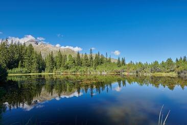 Workshop fotografico sull'Alp Flix (gdl_849790308_image)