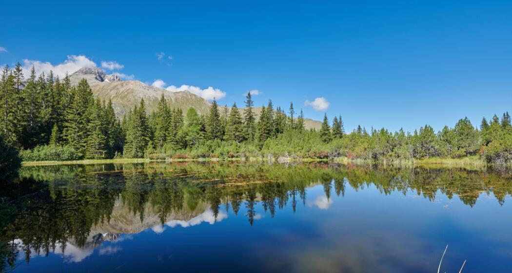 Fotografie-Workshop auf der Alp Flix (gdl_849790308_image)