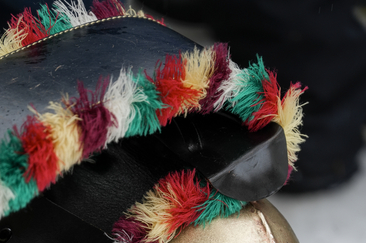 Chalandamarz ad Ardez (gdl_851169501_image)