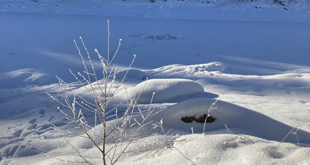 Vier geheimnisvolle Seen mit dem Bike erfahren (gdl_852447773_image)