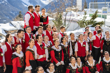 Schüschaiver (gdl_852779538_image)