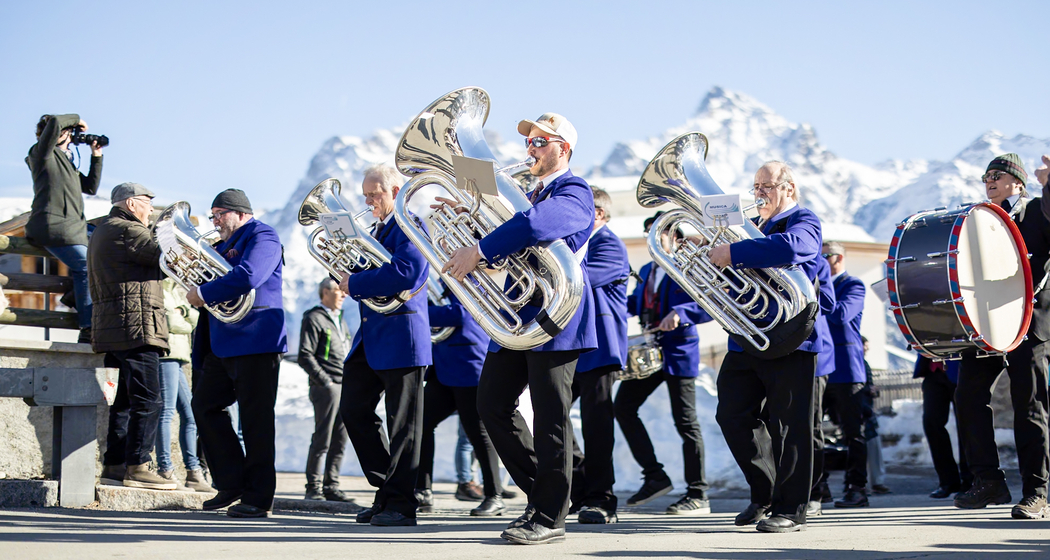 Schüschaiver (gdl_852779540_image)