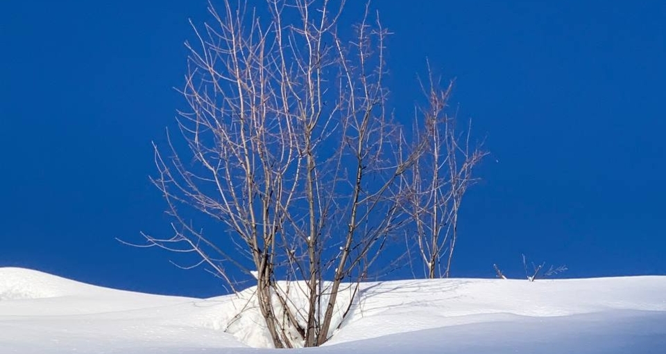 Humanistisch-säkulare Winterwanderung in Feldis (Graubünden) (gdl_854609184_image)