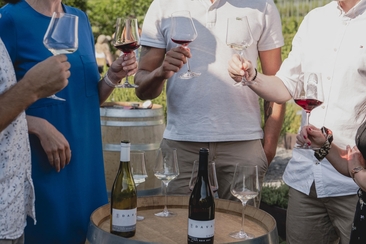 Führung und Degustation im Weingut Davaz (gdl_854939210_image)