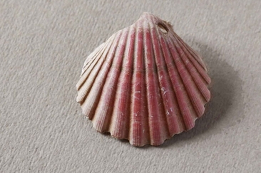 Percorsi da e per Müstair (gdl_855013412_image)