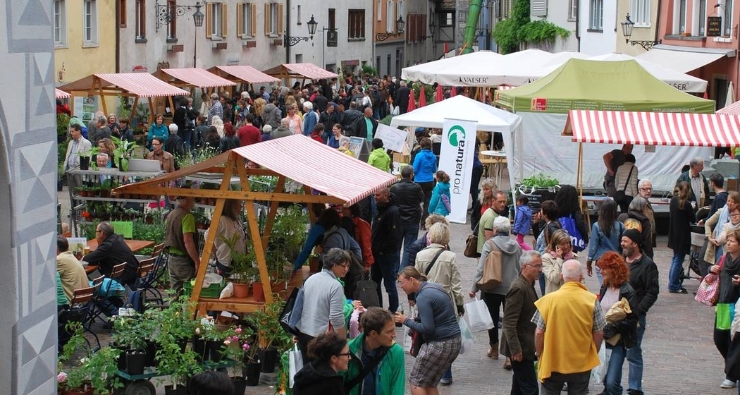 Churer Wildpflanzen- und Setzlingsmarkt (gdl_857138859_image)