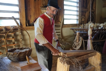 Dalla pianta al tessuto (gdl_857905760_image)