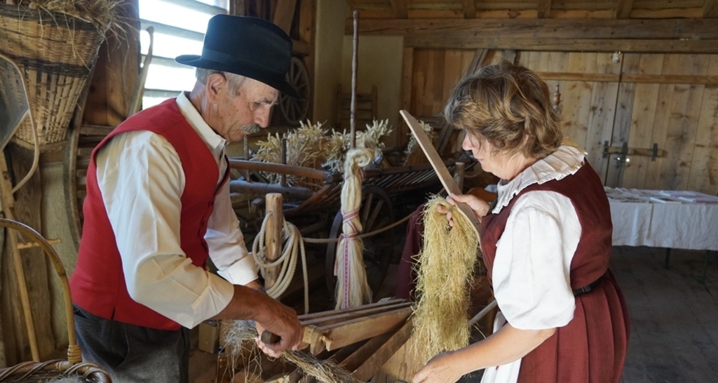 Von der Pflanze zum Stoff (gdl_857905761_image)