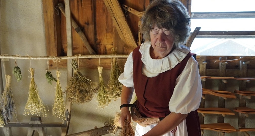 Von der Pflanze zum Stoff (gdl_857905762_image)