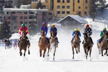 White Turf (gdl_858419917_image)
