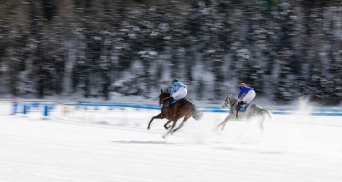 White Turf (gdl_858419918_image)