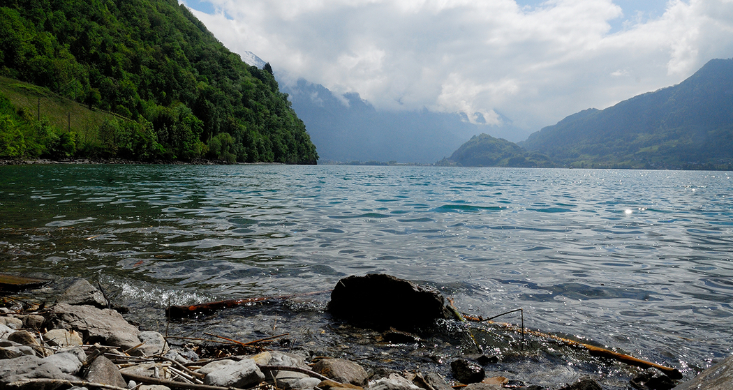 Kräuterwanderung in Quinten am Walensee – eine Entdeckungsreise (gdl_858592774_image)