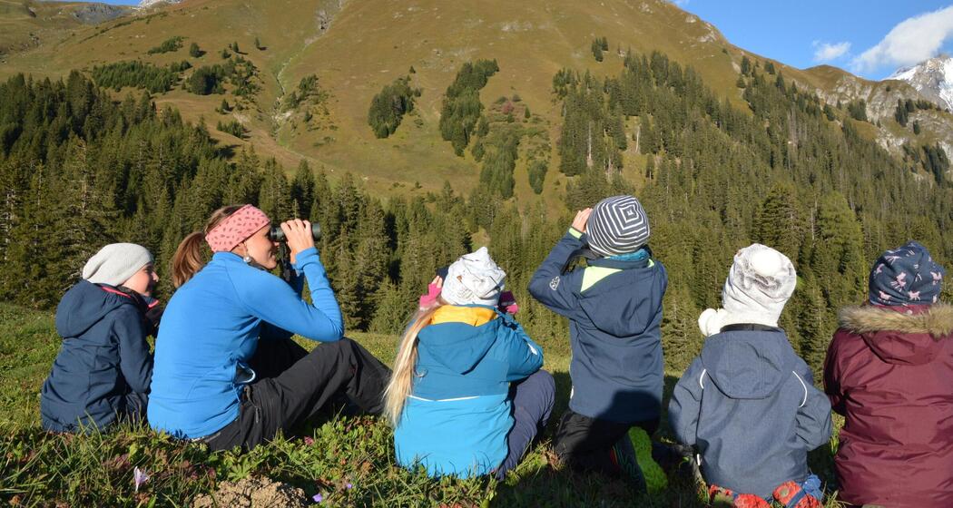 Kinder-Wildbeobachtungstour - Kids only (gdl_859926745_image)