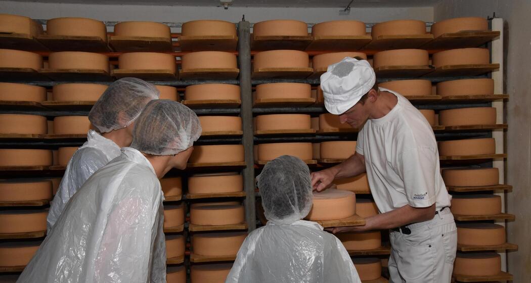 Führung Käserei "Nossa Caschareia" (gdl_859926755_image)