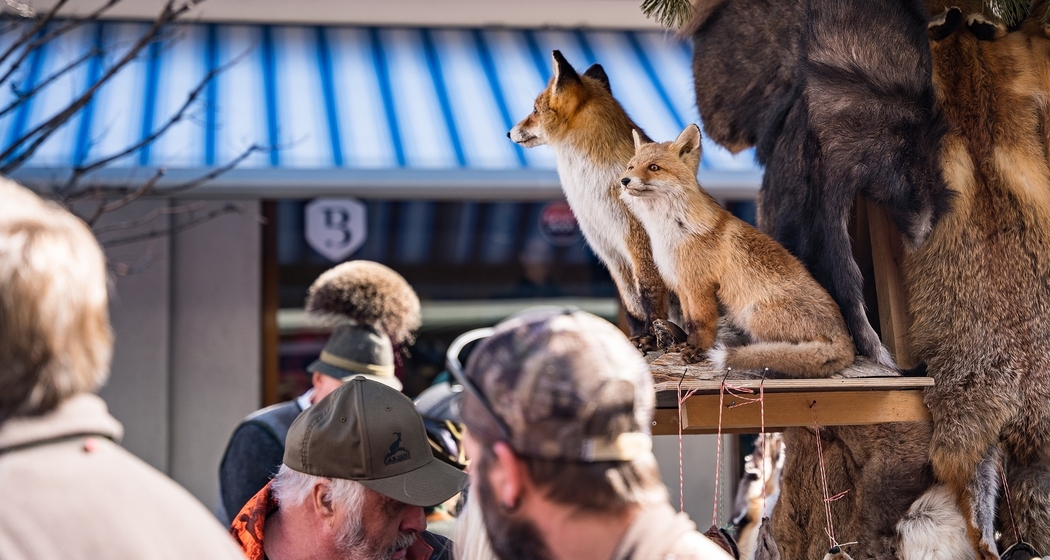 26. Bündner Fellmarkt (gdl_860042667_image)