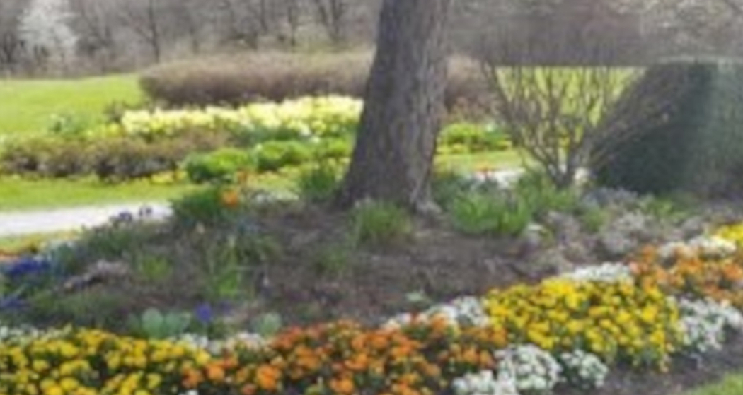 Erzählcafé in Ilanz (gdl_860213081_image)