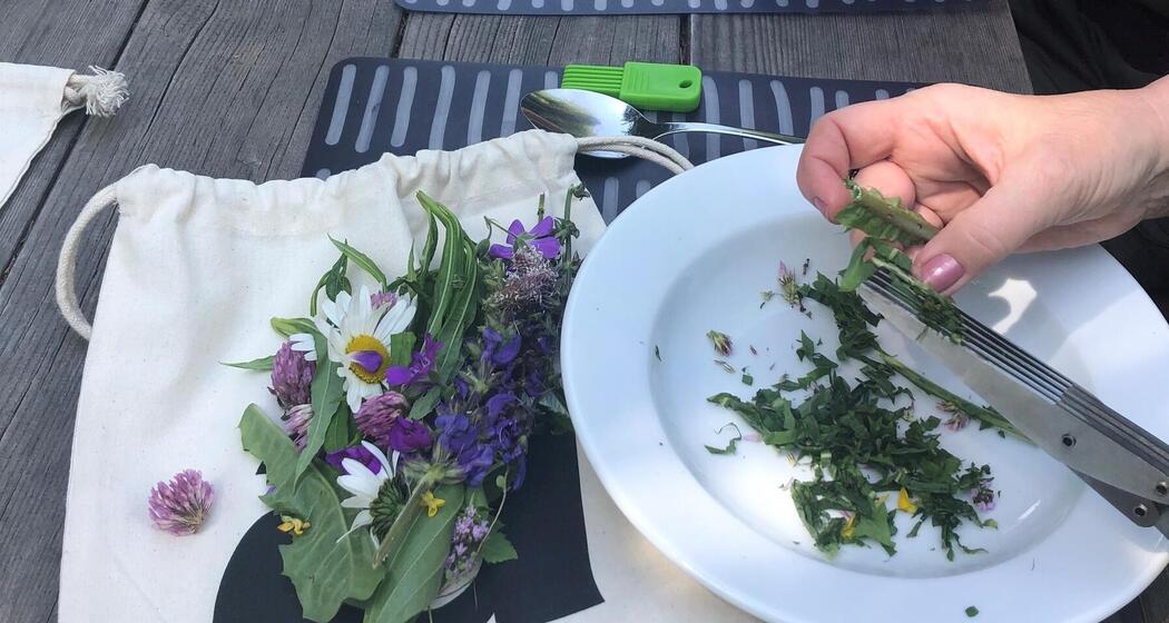Pesto aus essbaren Wildkräutern herstellen (Bivio) (gdl_860274591_image)