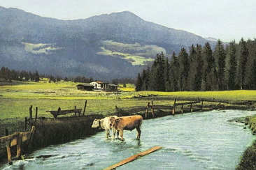 Village tour-From the Maiensäss to the health resort (gdl_860611818_image)