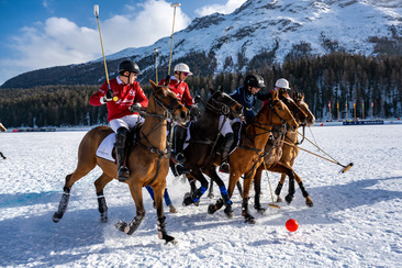 Coupe du monde de polo sur neige (gdl_860980517_image)