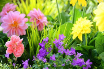 Frühlingserwachen mit Apéro (gdl_861676475_image)