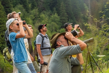 Wildbeobachtung in Obersaxen Mundaun (gdl_862382618_image)