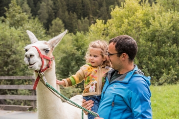 Lama trekking taster tour (gdl_864627669_image)