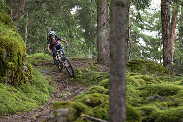 #minishredders – Kidskurs Sommer 2026 (gdl_864665051_image)