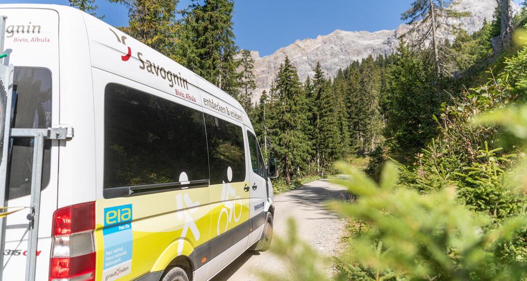 Bike- & Wanderbus Savognin – Radons (gdl_865955737_image)