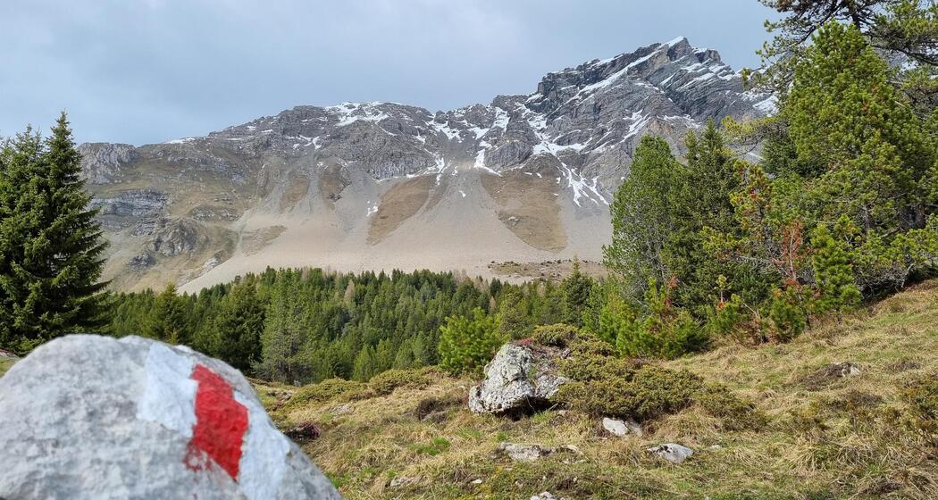 Bike- & Wanderbus Savognin – Plang la Curvanera (gdl_865955741_image)