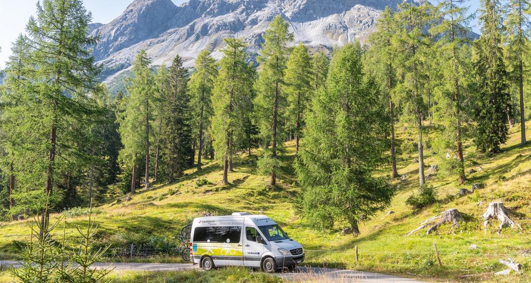 Bike- & Wanderbus Savognin – Plang la Curvanera (gdl_865955756_image)