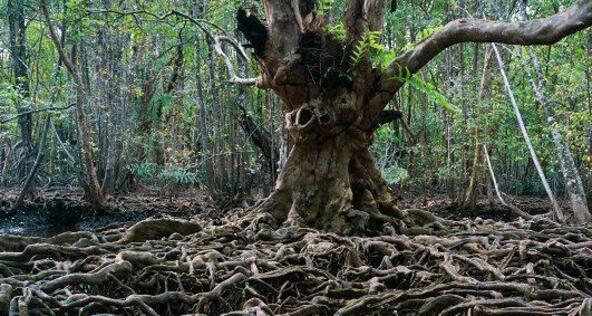 ArosaAkademie «Kinoabend» (gdl_867588517_image)